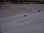 P0005869.JPG