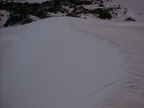 P0005880.JPG