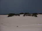 P0005881.JPG