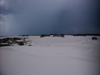 P0005882.JPG