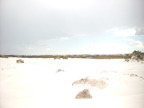 P0005885.JPG