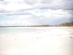 P0005943.JPG
