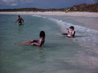 P0005964.JPG