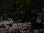 P0005999.JPG