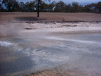 P0006001.JPG
