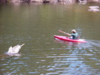 P0005687.JPG