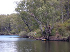 P0005701.JPG