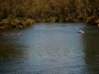 P0005727.JPG