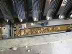 DSC01236.JPG