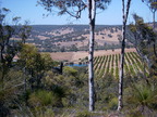 P0005388.JPG
