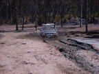 P0005435.JPG