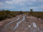 P0006342.JPG