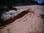 Mud_hole_1.jpg